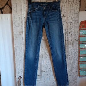 American Eagle Outfitters Women's Classic Blue Skinny Jeans